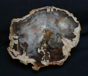 Argentinien/Patagonien/Santa Cruz, Provinz/Deseado, Departamento/Cerro El Cuadrado Fossil Forest (Parque Nacional Bosques Petrificados de Jaramillo, Jaramillo Petrified Forest)