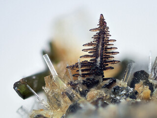 Deutschland/Rheinland-Pfalz/Ahrweiler, Landkreis/Brohltal, Verbandsgemeinde/Spessart, Gemeinde/Hannebach/Hannebacher Ley