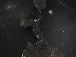 Deutschland/Niedersachsen/Göttingen, Landkreis/Walkenried, Gemeinde/Zorge, Ortsteil