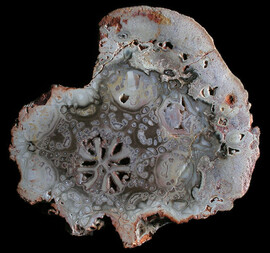 Brasilien/Norden (Região Norte)/Tocantins