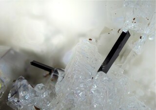 Deutschland/Rheinland-Pfalz/Mayen-Koblenz-Kreis/Mendig, Verbandsgemeinde/In den Dellen (Grube Zieglowski)