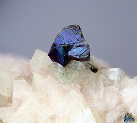 Deutschland/Nordrhein-Westfalen/Köln, Bezirk/Oberbergischer Kreis/Nümbrecht/Wirtenbach/Stbr. Schretzmair (Büschhof)