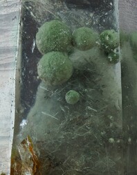 Japan/Kyūshū (Kyushu), Insel/Oita, Präfektur/Ono, Kreis/Ogata/Grube Obira