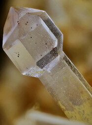 Österreich/Tirol/Schwaz, Bezirk/Mayrhofen, Marktgemeinde/Zemmgrund-Nord/Saurüssel