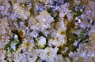 Spanien/Kanarische Inseln/Teneriffa/Adeje, Municipio/Playa de la Enramada