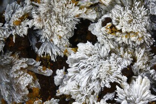 Deutschland/Nordrhein-Westfalen/Arnsberg, Bezirk/Hochsauerlandkreis/Bestwig/Ramsbeck/Grube Bastenberg