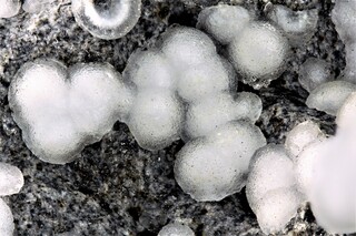 Deutschland/Baden-Württemberg/Freiburg, Bezirk/Emmendingen, Landkreis/Sasbach am Kaiserstuhl/Steinbrüche am Limberg