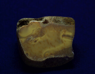 Deutschland/Sachsen-Anhalt/Anhalt-Bitterfeld, Landkreis/Bitterfeld-Wolfen, Stadtgemeinde/Bitterfeld, Ortsteil/Tagebau Goitzsche