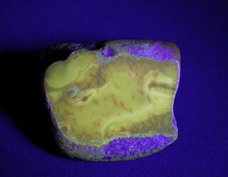 Deutschland/Sachsen-Anhalt/Anhalt-Bitterfeld, Landkreis/Bitterfeld-Wolfen, Stadtgemeinde/Bitterfeld, Ortsteil/Tagebau Goitzsche