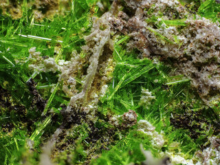 Demokratische Republik Kongo/Katanga (Shaba), Provinz/Lualaba, Distrikt/Kolwezi, Revier/Kolwezi, Stadt/Musonoi