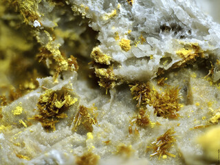 Portugal/Viseu, Distrito/Mangualde, Município/União das Freguesias de Tavares (Chãs, Várzea e Travanca), Freguesia/Tragos/Pinhal do Souto Mine