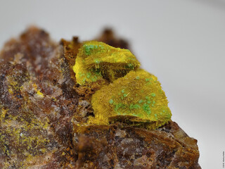 Deutschland/Baden-Württemberg/Freiburg, Bezirk/Waldshut, Landkreis/St. Blasien, Stadtgemeinde/Menzenschwand, Ortsteil/Krunkelbach