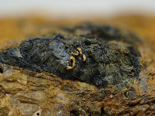 Österreich/Salzburg/St. Johann im Pongau, Bezirk/Mühlbach am Hochkönig/Mitterberg, Revier/Hauptgang/Annastollen