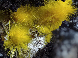 Deutschland/Baden-Württemberg/Freiburg, Bezirk/Waldshut, Landkreis/St. Blasien, Stadtgemeinde/Menzenschwand, Ortsteil/Krunkelbach