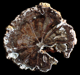 Belgien/Wallonie/Lüttich (Liège; Luik), Provinz/Lüttich (Liège; Luik), Bezirk/Raeren/Hauset/Bingeberg