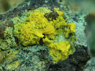 Demokratische Republik Kongo/Katanga (Shaba), Provinz/Lualaba, Distrikt/Kolwezi, Revier/Kolwezi, Stadt/Musonoi