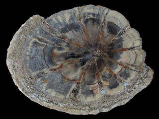 USA/Colorado/Montezuma County/McElmo Creek