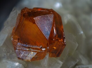 Deutschland/Nordrhein-Westfalen/Köln, Bezirk/Oberbergischer Kreis/Nümbrecht/Wirtenbach/Stbr. Schretzmair (Büschhof)