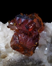 Deutschland/Nordrhein-Westfalen/Köln, Bezirk/Oberbergischer Kreis/Nümbrecht/Wirtenbach/Stbr. Schretzmair (Büschhof)