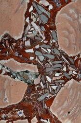 Deutschland/Saarland/St. Wendel, Landkreis/Oberthal/Leistberg/Rötelpfad