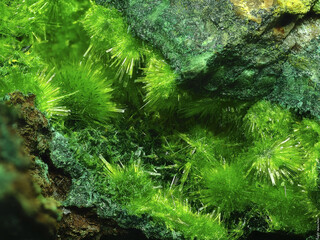 Demokratische Republik Kongo/Katanga (Shaba), Provinz/Lualaba, Distrikt/Kolwezi, Revier/Kolwezi, Stadt/Musonoi