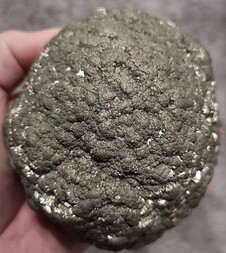 Deutschland/Schleswig-Holstein/Rendsburg-Eckernförde, Landkreis/Schwedeneck/Stohl