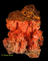 Australien/Tasmanien/West Coast Municipality/Zeehan District/Dundas/Adelaide Mine