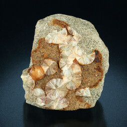 Tschechien/Středočeský kraj (Mittelböhmen)/Beroun, Okres (Beraun)/Zerhowitz (Cerhovice)/Steinbruch Cerhovice (Zbiroh)