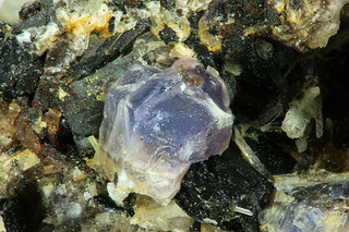 Deutschland/Rheinland-Pfalz/Vulkaneifel, Landkreis/Daun/Üdersdorf/Löhley