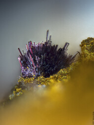 Deutschland/Baden-Württemberg/Freiburg, Bezirk/Ortenaukreis/Oberwolfach/Grube Clara