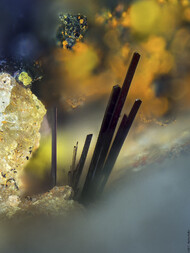 Deutschland/Baden-Württemberg/Freiburg, Bezirk/Ortenaukreis/Oberwolfach/Grube Clara