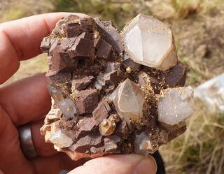 Spanien/Katalonien (Cataluña)/Girona, Provinz/Selva, Comarca/Arbúcies, Municipio/Pegmatite von Arbúcies/Aufschluss über der Autobahn (Tunel de Pigot)