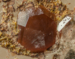 Spanien/Katalonien (Cataluña)/Girona, Provinz/Selva, Comarca/Arbúcies, Municipio/Pegmatite von Arbúcies/Aufschluss über der Autobahn (Tunel de Pigot)