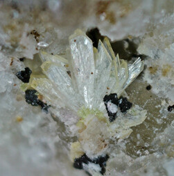 Deutschland/Bayern/Oberpfalz, Bezirk/Neustadt an der Waldnaab, Landkreis/Waidhaus/Silbergrube