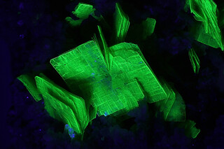 Deutschland/Sachsen/Vogtlandkreis/Bergen/Streuberg (Schacht 254)