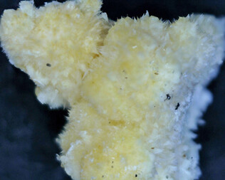 Deutschland/Bayern/Oberpfalz, Bezirk/Weiden in der Oberpfalz, kreisfreie Stadt/Muglhof/Ödenthal (Oedenthal)/Steinbruch Scharnagl