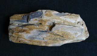 Österreich/Niederösterreich/Hollabrunn, Bezirk