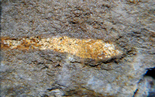 Österreich/Niederösterreich/Hollabrunn, Bezirk