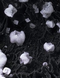 Deutschland/Rheinland-Pfalz/Birkenfeld, Landkreis/Herrstein-Rhaunen, Verbandsgem./Niederwörresbach/Steinbruch Juchem