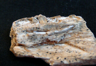 Österreich/Burgenland/Oberwart, Bezirk/Kohfidisch, Gemeinde/Kohfidisch, Katastralgemeinde/Csaterberge