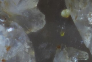 Italien/Toskana (Toscana)/Livorno, Provinz/Elba, Insel/Campo nell'Elba/San Piero in Campo/Gang della Speranza (Filone della Speranza)