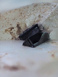 Italien/Toskana (Toscana)/Livorno, Provinz/Elba, Insel/Campo nell'Elba/San Piero in Campo/Cava Faccatoia