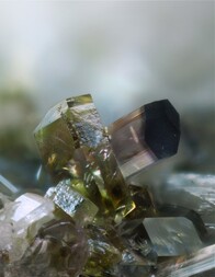 Italien/Toskana (Toscana)/Livorno, Provinz/Elba, Insel/Campo nell'Elba/San Piero in Campo/Fonte del Prete