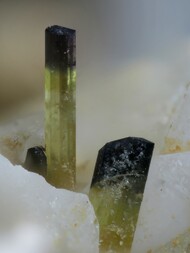 Italien/Toskana (Toscana)/Livorno, Provinz/Elba, Insel/Campo nell'Elba/Sant'Ilario in Campo/Catri/Fosso Marcianella Pegmatit/Gang Pastori (Filone dei Pastori)