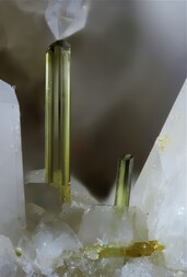 Italien/Toskana (Toscana)/Livorno, Provinz/Elba, Insel/Campo nell'Elba/Sant'Ilario in Campo/Catri/Fosso Marcianella Pegmatit/Gang Pastori (Filone dei Pastori)