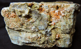 Österreich/Niederösterreich/Krems-Land, Bezirk/Schönberg am Kamp/Plank am Kamp/Plank Nord (