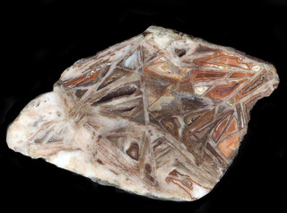 Deutschland/Thüringen/Erfurt/Kiesgruben