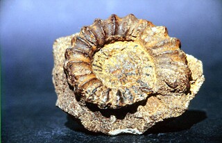 Deutschland/Niedersachsen/Helmstedt, Landkreis/Lehre