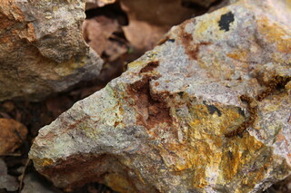 Deutschland/Sachsen/Mittelsachsen, Landkreis/Niederwiesa/Struthwald