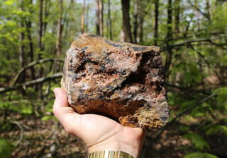 Deutschland/Sachsen/Mittelsachsen, Landkreis/Niederwiesa/Struthwald